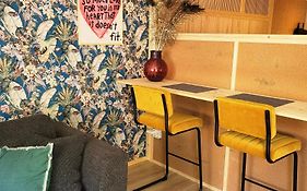 Tinyhouse centrum Drachten